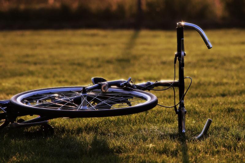 Bicycle Lying In Field
