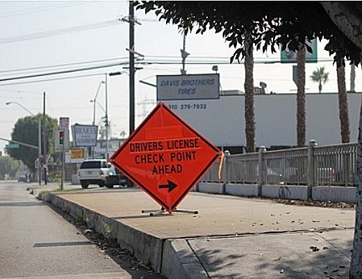 Driver's License Checkpoint