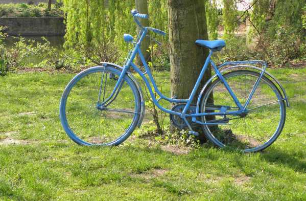 Blue Bike