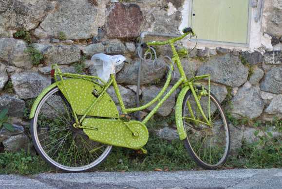 Green Flowered Bike