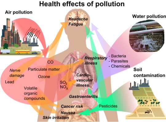 Health Effects Of Pollution