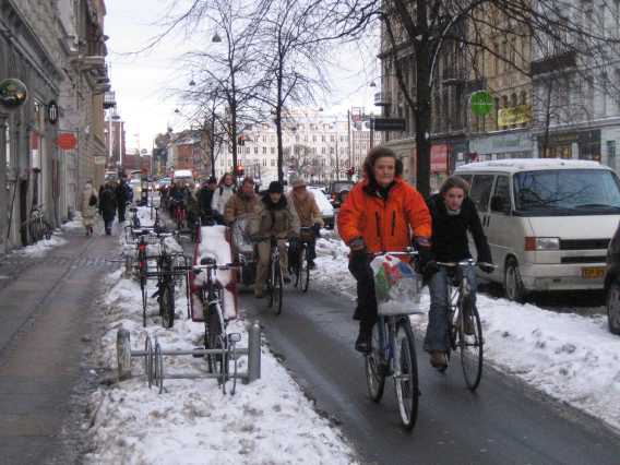 Helmet-less Cyclists 