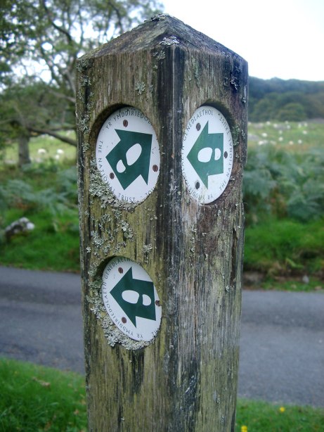 Sign With Confusing Arrows