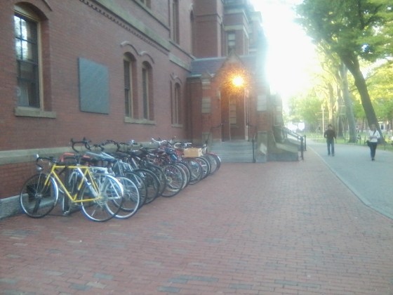 Harvard Yard Bike Rack