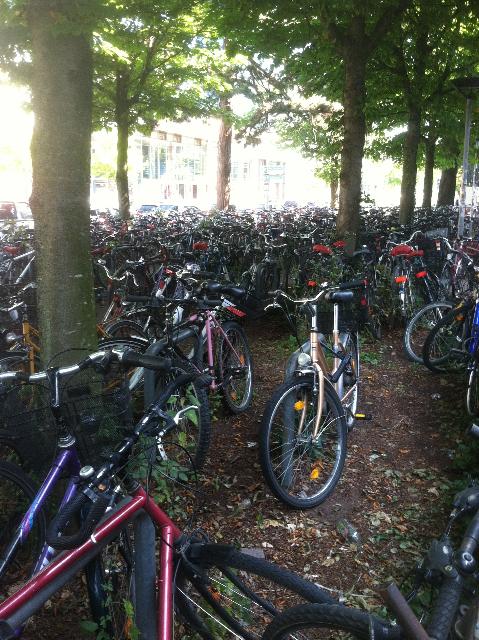 Bicycle Parking Area In Germany